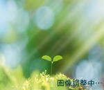 体験学習イメージ