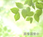 英語学習イメージ